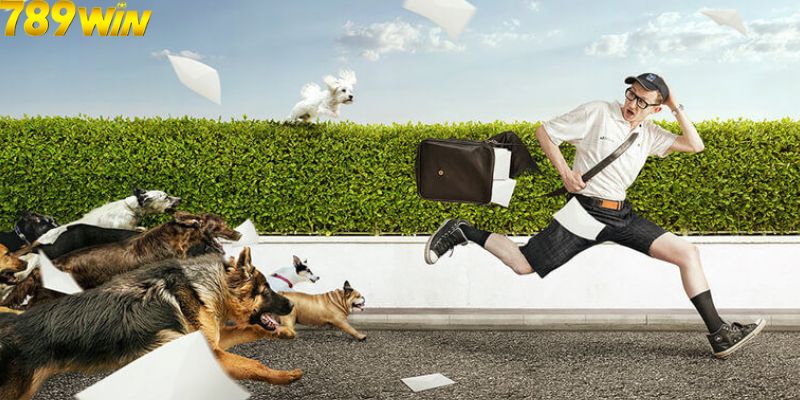 mơ thấy chó cắn