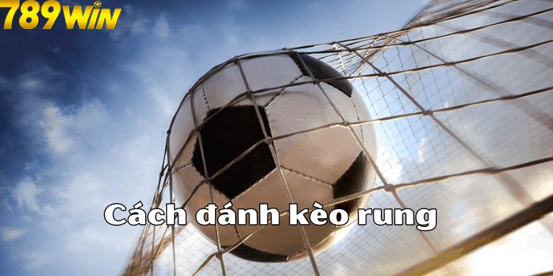 Cách đánh kèo rung