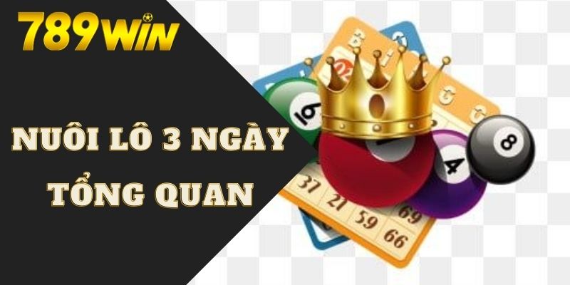 Cách Nuôi Lô Khung 3 Ngày | Bí Kíp Chốt Số Đẹp Mỗi Ngày 5 Giới thiệu sơ qua về cách nuôi lô khung 3 ngày