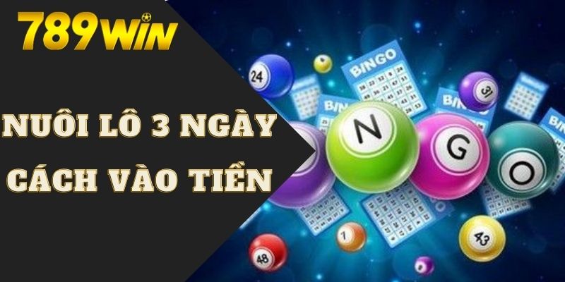 Cách Nuôi Lô Khung 3 Ngày | Bí Kíp Chốt Số Đẹp Mỗi Ngày 7 Hướng dẫn sử dụng dòng tiền hiệu quả khi nuôi lô 3 ngày