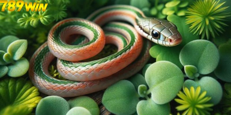 Giải Mã Nằm Mơ Thấy Rắn Đuổi Báo Hiệu Điềm Lành Hay Dữ? 7 Nếu nằm mơ thấy rắn đuổi thì nên đánh con gì?