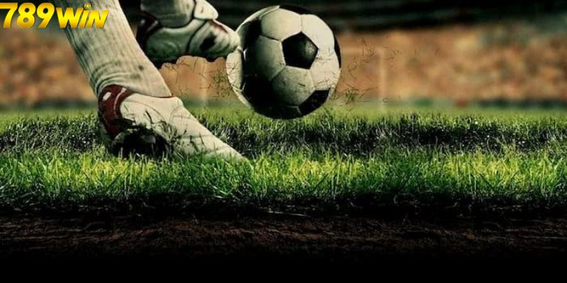 Bật Mí Thông Tin Cơ Bản Về Tỷ Lệ Kèo Malaysia Mới Nhất 6 Thuật ngữ đặc thù trong tỷ lệ kèo Malaysia