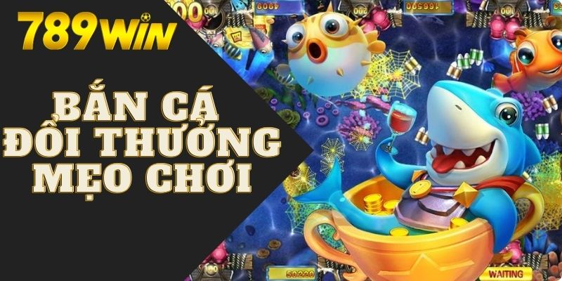 Bắn Cá Đổi Thưởng | 4 Mẹo Săn Cá Phá Đảo Mọi Nhà Cái Hot 7 Mẹo phá đảo game bắn cá ăn sạch tiền nhà cái